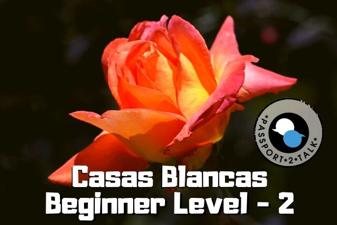 Spanish Course Beginner Casas Blancas Murcia 2