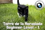 Learn Spanish Lessons Beginner Torre de la Horadada 0