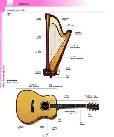 Stringed instruments arp guitar