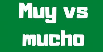 Muy vs mucho in spanish
